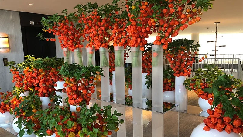 Four Seasons Athens